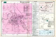 Birmingham, Troy Township, Bloomfield Centre, Big Beaver, Oakland County 1872